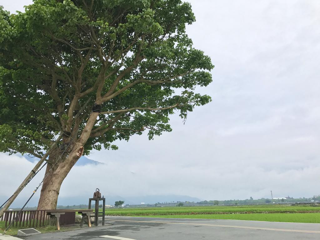玉蟾園民宿 寵物友善 Yuchanyuan B&B Chishang Esterno foto