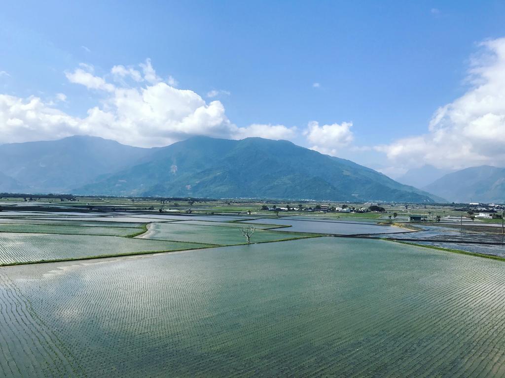 玉蟾園民宿 寵物友善 Yuchanyuan B&B Chishang Esterno foto